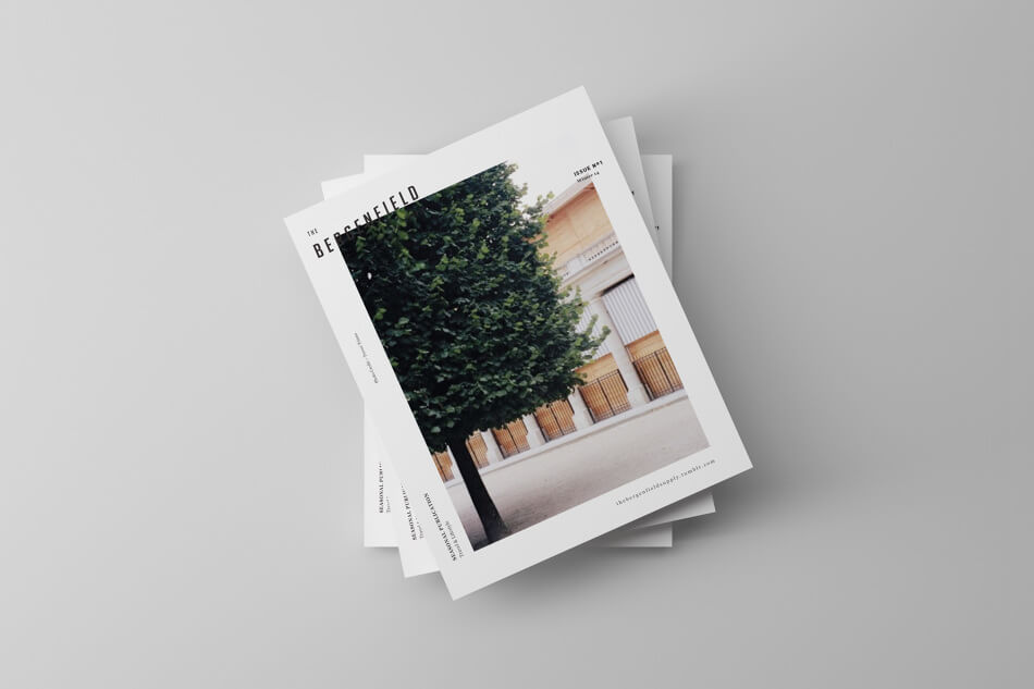 WordPress Blog Post